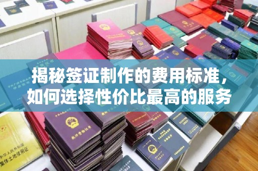 龙马潭揭秘签证制作的费用标准，如何选择性价比最高的服务？
